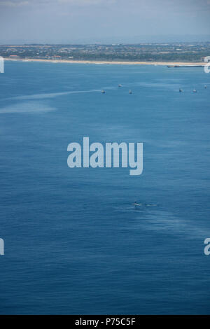 Humpback Whale vicino alla costa del Ghana, visto dall'aeroplano Foto Stock