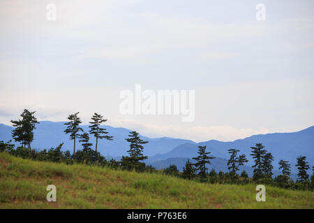 La linea di alberi contro uno sfondo montagnoso sulla giornata di sole in Tottori, Giappone Foto Stock