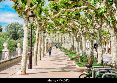 Burgos, Spagna - 13 Giugno 2018: lungomare alberato boulevard durante la primavera al centro storico di Burgos, Spagna Foto Stock