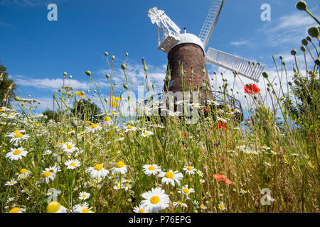 Prato estivo giardino presso il mulino a vento di Verdi e Science Center di NOTTINGHAM, NOTTINGHAMSHIRE REGNO UNITO Inghilterra Foto Stock