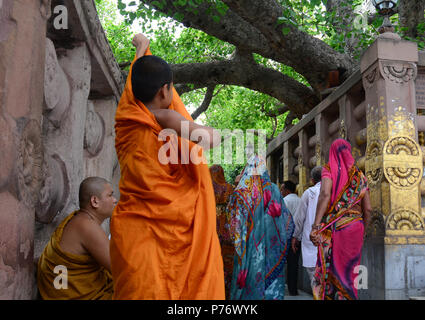 Bodhgaya,, India - Lug 9, 2015. Preghiere al complesso del tempio di Mahabodhi. Il Mahabodhi Vihar è un sito Patrimonio Mondiale dell'UNESCO. Foto Stock