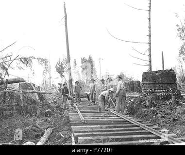 . Inglese: Asian railroad equipaggio di costruzione al lavoro, N e M legname Azienda, Rochester, ca. 1920 . Inglese: didascalia sull'immagine: N&M Lumber Co. Kinsey foto. No. 21 PH Coll 516.2191 N&M legname Azienda era in business in Rochester nei primi anni venti con un mulino di legname e le operazioni di registrazione. Rochester è una comunità due dozzina di miglia a sud di Olympia su Bakers Prairie nel sud-ovest della contea di Thurston. Quando un ufficio postale è stato istituito nel 1890, il nome scelto è stato la chiave, eventualmente con riferimento alla città di gate sul west. Un tempo il paese vantava un hotel, grande magazzino e tre segherie. Nel 1904, la presen Foto Stock