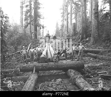 . Inglese: equipaggio con log skidway sotto costruzione e motore di asino in distanza, Wynooche Timber Company, ca. 1921 . Inglese: didascalia sull'immagine: Wynooche Timber Co. C. Kinsey foto, Seattle. No. 5 PH Coll 516.5222 Il Wynooche Timber Company ha iniziato le operazioni di ca. 1913 con sede a Hoquiam e operazioni di registrazione in Montesano. È stato chiamato con il nome di Valle Wynooche nella zona nord-est di Grays Harbor County. Wynooche Timber Company è stato comprato dalla Schafer Fratelli Logging Company ca. 1927.. Lo skid road, o skidway, è stato costruito da dieci piedi registri, 10 a 20 pollici in diametro e i registri sono stati spazio Foto Stock