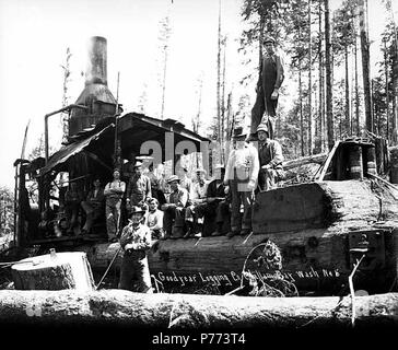 . Inglese: Caricamento di equipaggio e motore di asino, Goodyear Logging Company, vicino Clallam Bay, ca. 1920 . Inglese: didascalia sull'immagine: Goodyear Logging Co., Clallam Bay, nello Stato di Washington No. 5 PH Coll 516.1388 Il Goodyear Logging Company è stata in business da ca. 1915 a ca. 1924, con sede a Clallam Bay. Nel 1922, vi erano 175 dipendenti. Clallam Bay è una comunità sulla sponda orientale della baia di Clallam, stretto di Juan de Fuca, nel nord-ovest della contea di Clallam. È stato chiamato con il nome di Baia, che è stato elencato su British Admiralty grafici nel 1846 da Capt. Henry Kellet come Callam, la sua versione anglicizzata del nome indiano. Il n Foto Stock