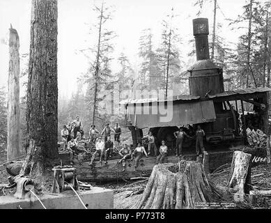 . Inglese: Caricamento di equipaggio e motore di asino, Wynooche Timber Company, vicino Montesano, ca. 1921 . Inglese: didascalia sull'immagine: No. 84B PH Coll 516.5173 Il Wynooche Timber Company ha iniziato le operazioni di ca. 1913 con sede a Hoquiam e operazioni di registrazione in Montesano. È stato chiamato con il nome di Valle Wynooche nella zona nord-est di Grays Harbor County. Wynooche Timber Company è stato comprato dalla Schafer Fratelli Logging Company ca. 1927. Montesano, la sede della contea di Grays Harbor County, è otto miglia a est di Aberdeen sul fiume Chehalis vicino alla bocca del fiume Wynooche nel centro di Grays Harbor County. In 1862, th Foto Stock