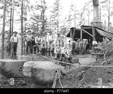. Inglese: Registrazione equipaggio e Willamette asino motore, mulini di Lewis e Timber Company, Fern Creek Camp, ca. 1922 . Inglese: didascalia sull'immagine: Lewis Mills, Fern Creek Camp. C.K. Kinsey foto, Seattle. No. 141 PH Coll 516.1737 i mulini di Lewis & Timber Company è stata in business ca. 1910 al 1931, con sede a South Bend e con le operazioni di registrazione in Frances. Nel 1924, la società aveva 100 dipendenti. South Bend si trova a tre miglia dalla foce del fiume Willapa in Willapa Porto nel nord del Pacifico centrale County. Nel 1860 questo paese iniziò come una segheria. Il South Bend Azienda di Terra si espande la città e Foto Stock