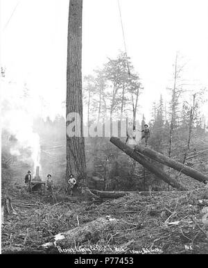 . Inglese: Registrazione equipaggio e yarding e l'operazione di caricamento con un piccolo motore di asino, Phoenix Logging Company, Jay Trattato, ca. 1919 . Inglese: didascalia sull'immagine: Pheonix Logging Co., Jay Trattato, nello Stato di Washington C. Kinsey foto, Seattle. No. 5 PH Coll 516.2685 Phoenix Logging Company è stata incorporata da Sol Simpson e Alfred Anderong nel novembre del 1899. La società è stata costituita per lavorare in legno che si trovano a nord del fiume Skokomish a Mason County, con sede centrale a Seattle e le operazioni di registrazione in base al di fuori del Jay Trattato. Touted come la seconda più grande operazione di registrazione nello stato, la società ha avuto Foto Stock