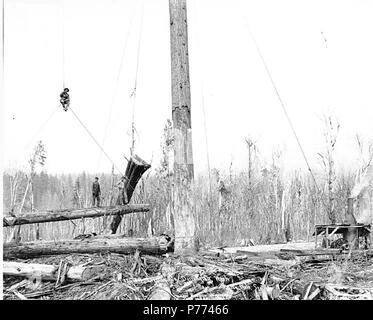 . Inglese: Registrazione equipaggio pianale di carico automobili della ferrovia utilizzando il motore di asino, Fortson Logging Company, ca. 1917 . Inglese: didascalia sull'immagine: Registrazione Fortson Co., Darrington, nello Stato di Washington Kinsey foto, Seattle. No. 3 PH Coll 516.1303 Il Fortson Logging Company è stata in business da ca. 1913 a ca. 1922, con sede a Darrington. Darrington è una registrazione e comunità di segheria sul fiume di Sauk quasi trenta miglia a est di Arlington in North Central Snohomish County. È stato un luogo di incontro per le tribù indiane nei primi giorni. Da lì cinque sentieri conducono in alta montagna. Primi nomi per questo posto sono stati Foto Stock