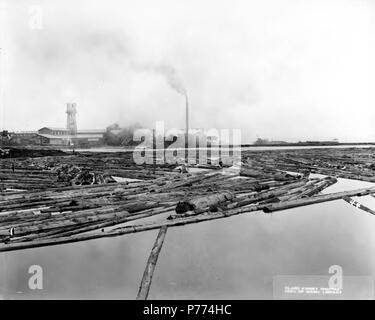 . Inglese: Mill pond, Brookings e Legname Legname Azienda, Brookings, ca. 1919 . Inglese: una divisione della California e Oregon legname Azienda. Didascalia sulla immagine: 44, Brookings PH Coll 516.276 Brookings è una città vicino al confine con la California nella Contea di Curry, Oregon. La città è stata fondata a nord del fiume Chetco nel 1913 dalla Brookings e Legname Legname Azienda. Il patrimonio della società sono state fuse con la Del Norte Azienda nel nord della California, formando la California e Oregon legname Azienda. La C&O legname Azienda mulino chiuso nel 1925. Soggetti (LCSH): xyz . circa 1919 9 Mill pond, Broo Foto Stock