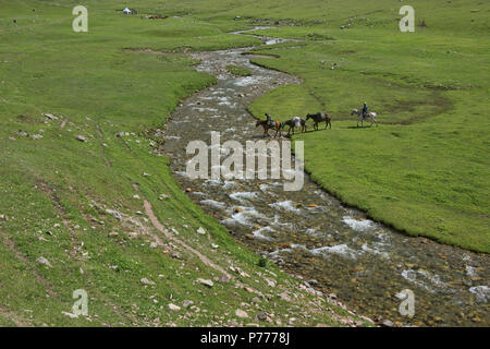 Cavalli attraversando il fiume Tup, Jyrgalan Valley, Kirghizistan Foto Stock