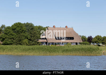 Casa di paglia nei pressi di Wustrow, Fischland, Meclemburgo-Pomerania Occidentale, Germania Foto Stock