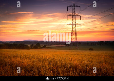 Post la luce del tramonto su campo in Shropshire, Regno Unito Foto Stock