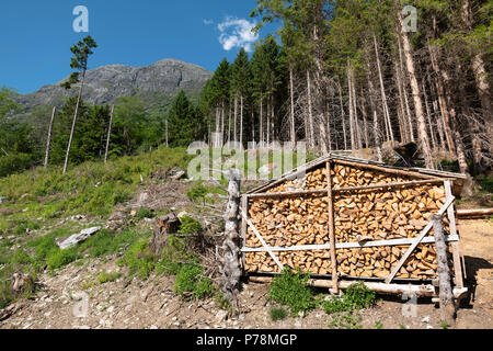 I prodotti forestali, Norvegia Foto Stock