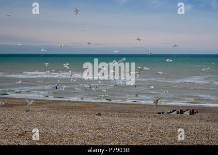 I gabbiani sulla riva del mare a Stroud Foto Stock
