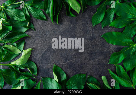 Foglie verdi confine. Foglie di peonie. Telaio di foglie verdi. Bianco sullo sfondo di legno. Foto Stock