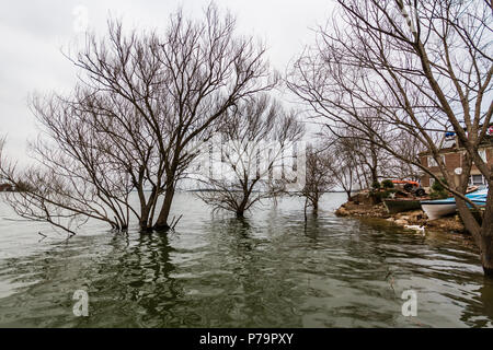 Vista di alberi in un giorno nuvoloso nel lago Uluabat, Golyazı, Bursa Foto Stock