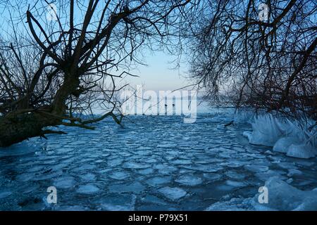 Foresta di inverno con il maestoso fiume al tramonto. Paesaggio invernale con alberi innevati, ghiaccio, bellissimo fiume congelato, boccole nevoso e colorati di cielo nel crepuscolo. Blurre Foto Stock