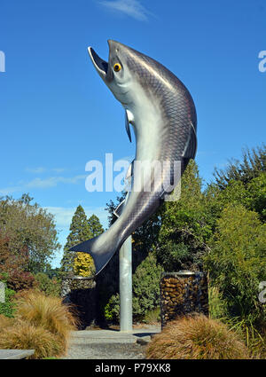 Salmone gigante a Rakaia, Canterbury, Nuova Zelanda attira turisti e pescatori. Foto Stock
