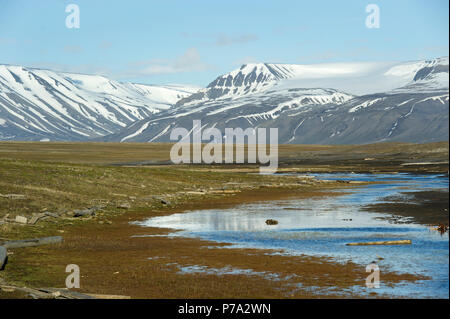 Artic Tundra scena su Spitsbergen, Svalbard, Norvegia nel Circolo Polare Artico Foto Stock