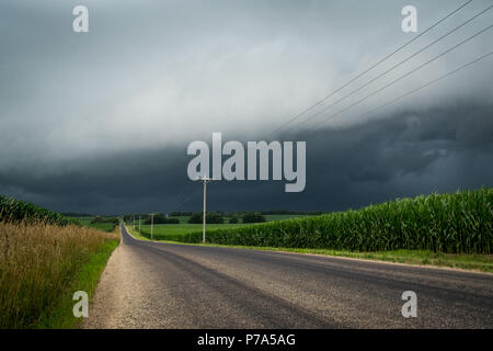 Guardando verso il basso un midwest rurale paese lane con cornfields su entrambi i lati come una pericolosa tempesta si avvicina. Foto Stock