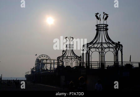 Homec ooking e cottura Foto Stock