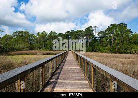 Una camminata di legno pier si estende su un fiume paludoso. Lo sfondo è circondato da verdi alberi, cielo blu, e puffy zolle bianco Foto Stock