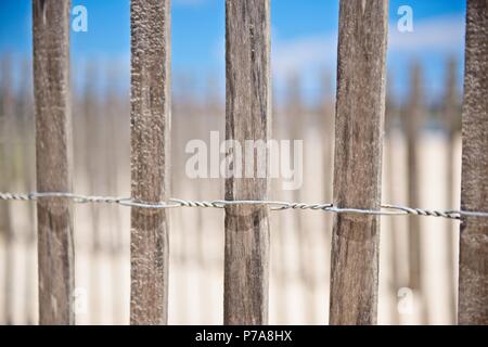 Una recinzione di legno tenute insieme con il filo in spiaggia utilizzato per prevenire fenomeni di erosione Foto Stock