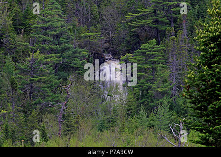 Diario di viaggio. Travel Terranova, Canada. Lungo l'autostrada #470. Paesaggi, paesaggi marini, e cascate, dalla porta AUX PER BASCO ROSE BLANCHE Foto Stock