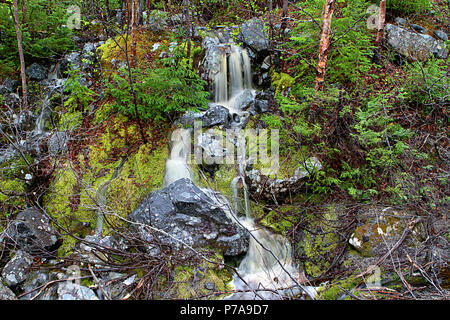 Diario di viaggio. Travel Terranova, Canada. Lungo l'autostrada #470. Paesaggi, paesaggi marini, e cascate, dalla porta AUX PER BASCO ROSE BLANCHE Foto Stock