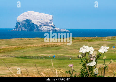 A North Berwick, East Lothian, Scozia, Regno Unito, 5 luglio 2018. La Bass Rock, casa del più grande Northern gannet colonia, scintillante bianco sotto il sole con le sule nesting e una massa di uccelli marini battenti intorno ad esso su una soleggiata giornata estiva Foto Stock