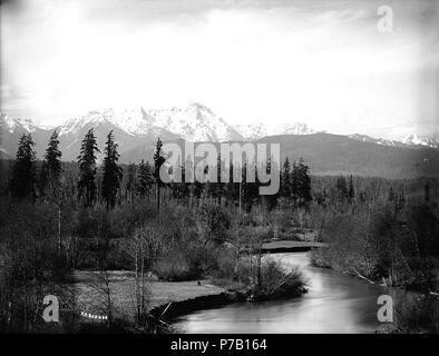 . Inglese: montagne olimpiche vista dal fiume Skokomish vicino al lago Cushman, Washington, ca. 1913 . Inglese: sul manicotto di negativo: Lago Cushman. Olympic Mtns. dalle banche di Skokomish vicino alla sua imboccatura soggetti (LCTGM): Montagne--Washington (stato); laghi e stagni--Washington (stato); fiumi--Washington (stato) soggetti (LCSH): montagne olimpiche (Washington); lago Cushman (Washington); Skokomish River (Washington) . circa 1913 60 Montagne Olimpiche vista dal fiume Skokomish vicino al lago Cushman, Washington, ca 1913 bar (288) Foto Stock