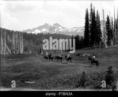 . Inglese: i visitatori di Reese's hotel tenda camp lasciando Paradise Valley da packtrain, il Parco Nazionale del Monte Rainier, Washington, ca. 1910. Inglese: mostra due donne e un uomo su cavallo . Sul manicotto del negativo: Reese's pack treno in partenza Paradise Valley. Soggetti (LCTGM): Equitazione--Washington (stato)--Mount Rainier National Park; cavalli--Washington (stato)--Il Parco Nazionale del Monte Rainier soggetti (LCSH): Mount Rainier National Park (Washington) . circa 1910 83 visitatori di Reese's hotel tenda camp lasciando Paradise Valley da packtrain, il Parco Nazionale del Monte Rainier, Washington, ca 1910 (barra 69) Foto Stock