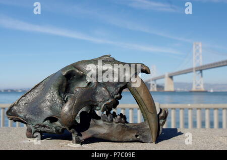 Una scultura di metallo di terribili cranio lupo, posto sulla San Francisco Waterfront, con il Golden Gate sullo sfondo. Terribili lupi cacciati qui 10.000 anni fa Foto Stock