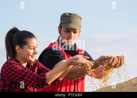 Yonng giovane gli agricoltori in campo di soia Foto Stock