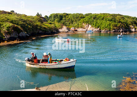 Aragosta e granchio il ritorno dei pescatori a Lackbeg porto vicino Burtonport, County Donegal, Irlanda su un giorno d'estate. Foto Stock