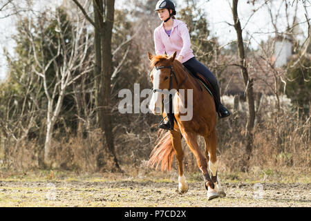 Giovane ragazza carina a cavallo Foto Stock