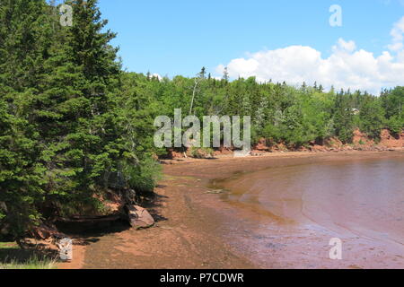 Scenario mozzafiato su una perfetta giornata estiva lungo la fascia costiera di auto a sud di Porto Charlottetown a Rocky Point, Prince Edward Island, Canada Foto Stock