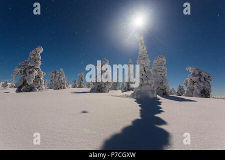 Scena invernale da fell Särkituntturi in Muonio, Finlandia e Lapponia Foto Stock