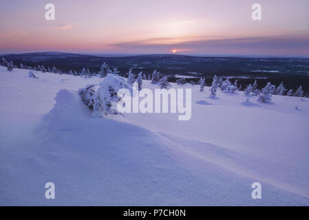 Scena invernale da fell Särkituntturi in Muonio, Finlandia e Lapponia Foto Stock