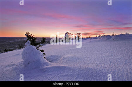 Scena invernale da fell Olostunturi in Muonio, Finlandia e Lapponia Foto Stock