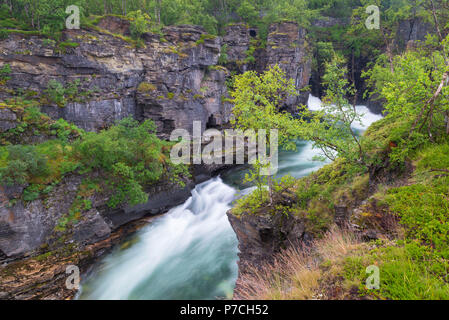 Abisko National Park in Svezia Foto Stock