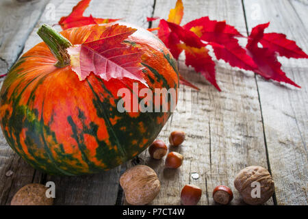 La zucca, viola le foglie e i dadi su un vecchio sfondo di legno. Foto Stock