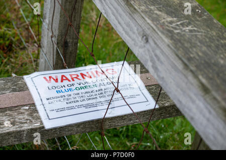 Alghe blu-verde segno. Shetland, Regno Unito Foto Stock