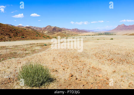 Vista del Hoanib asciutto del fiume Kunene, regione, Namibia Foto Stock
