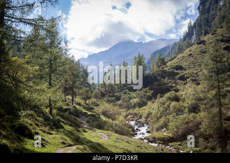 Sentiero escursionistico vicino torrente nel Seidwinkl valley, Parco Nazionale degli Hohe Tauern, Rauris, Salzburger Land, Austria Foto Stock