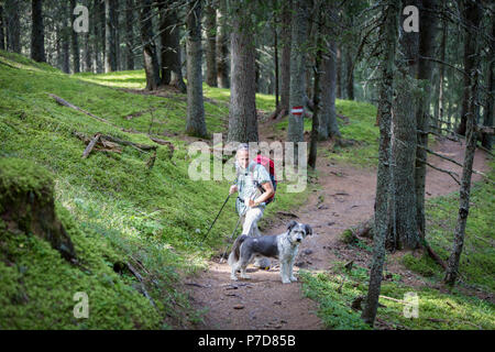 Un escursionista e il suo cane nella giungla di Rauris, Parco Nazionale degli Hohe Tauern, Kolm Saigurn, Rauris, Salzburger Land, Austria Foto Stock