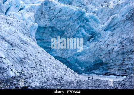 Escursioni turistiche per il gigante di deflusso glaciale del ghiacciaio Fox, Isola del Sud, Nuova Zelanda Foto Stock