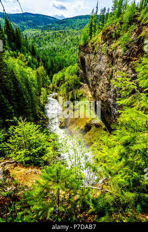 Vista di Grouse Creek dopo Moul Scende dalla cima delle cascate nel Grey Parco Provinciale presso Clearwater, British Columbia, Canada Foto Stock