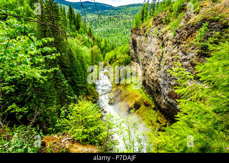 Vista di Grouse Creek dopo Moul Scende dalla cima delle cascate nel Grey Parco Provinciale presso Clearwater, British Columbia, Canada Foto Stock