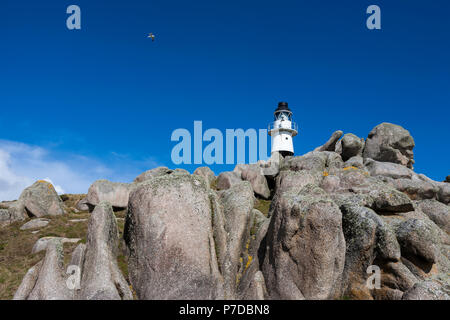 Peninnis Capo Faro, St. Mary's, isole Scilly, REGNO UNITO Foto Stock